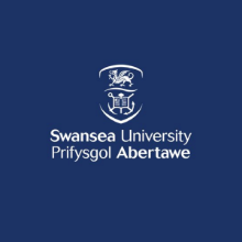 영국 스완지대학교 (University of Swansea)